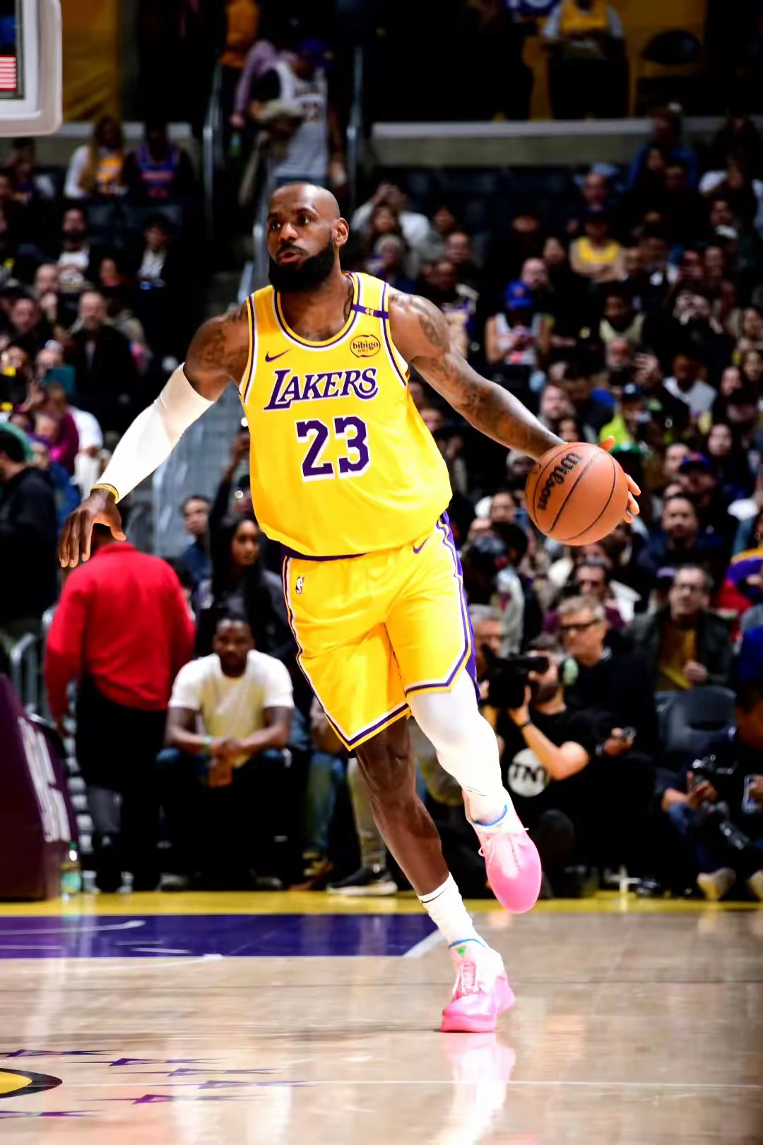 包含纽约尼克斯国际比赛日外线爆发，志在NBA季后赛名次提升，引发热议，训练强度明显提升的词条-3377电竞